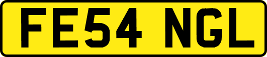 FE54NGL