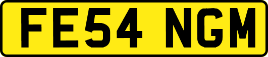 FE54NGM