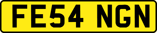 FE54NGN