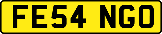 FE54NGO
