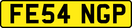 FE54NGP
