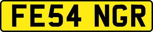FE54NGR