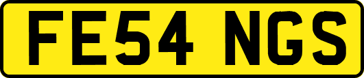 FE54NGS