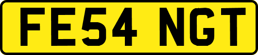 FE54NGT