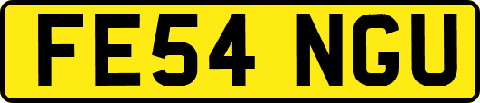 FE54NGU