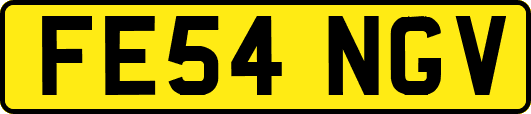 FE54NGV