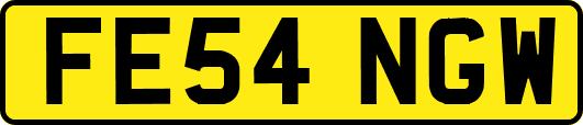 FE54NGW