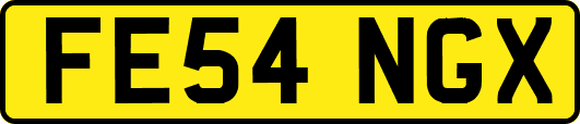 FE54NGX