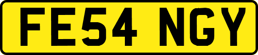 FE54NGY