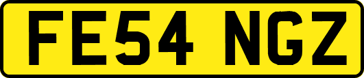 FE54NGZ