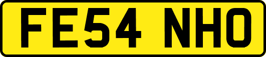 FE54NHO