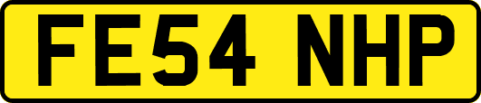 FE54NHP