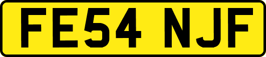 FE54NJF
