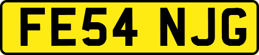 FE54NJG