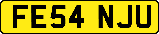 FE54NJU