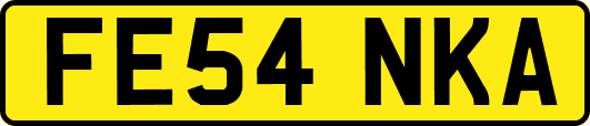 FE54NKA