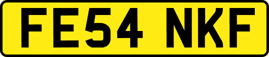 FE54NKF