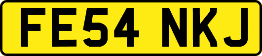 FE54NKJ
