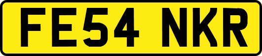 FE54NKR