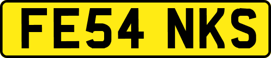 FE54NKS