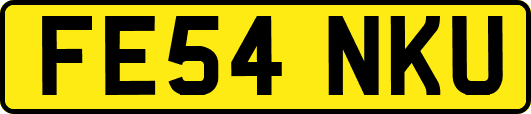 FE54NKU