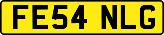 FE54NLG