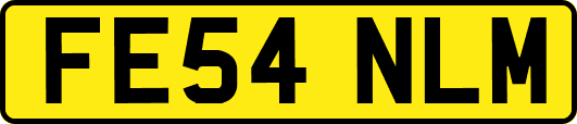 FE54NLM