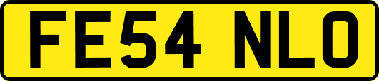 FE54NLO
