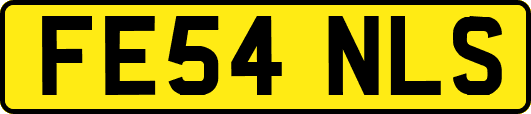 FE54NLS