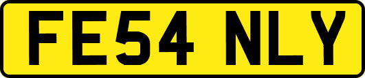 FE54NLY