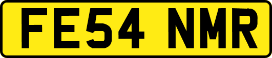 FE54NMR