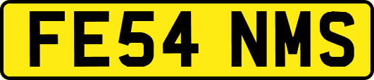 FE54NMS