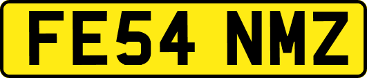 FE54NMZ