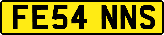 FE54NNS