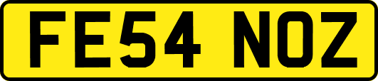 FE54NOZ