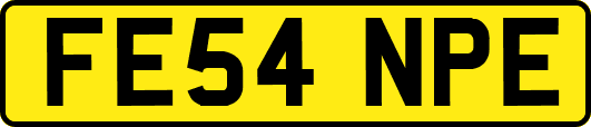 FE54NPE