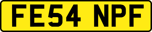 FE54NPF