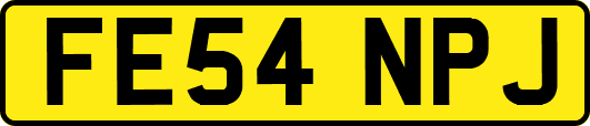 FE54NPJ