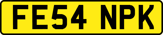FE54NPK
