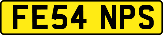 FE54NPS