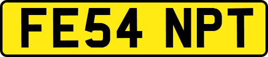 FE54NPT