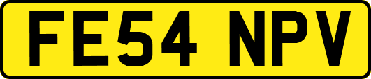 FE54NPV