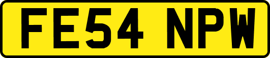 FE54NPW