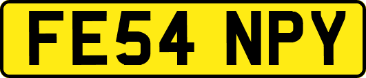 FE54NPY