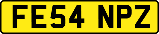 FE54NPZ