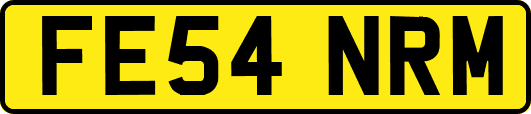 FE54NRM