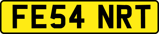 FE54NRT