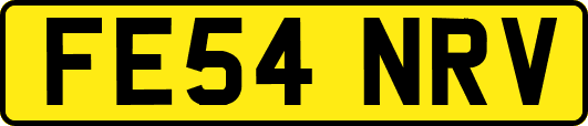 FE54NRV