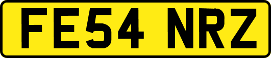 FE54NRZ