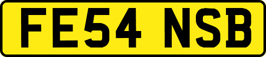 FE54NSB